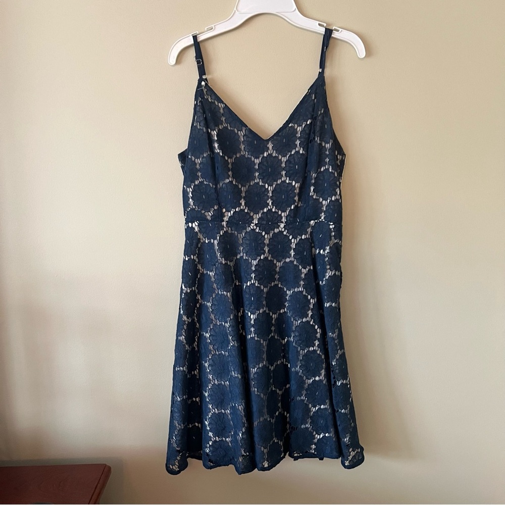 Altard State Navy and White Lace Dress (Size M)